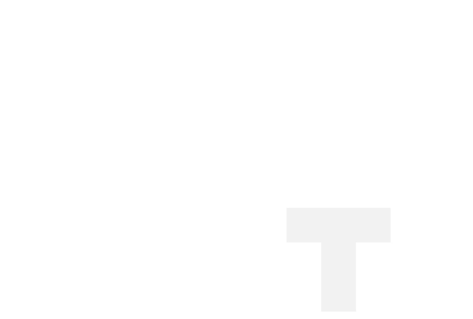 T13